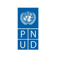 Field Security Associate UNDP Cameroon