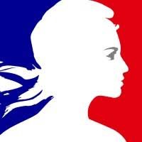 Conseiller de coopération et d'action culturelle Ambassade de France Cameroun