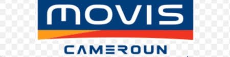 Commercial Job at MOVIS Cameroun