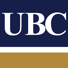 System Storage Administrator at Union Bank Cameroon