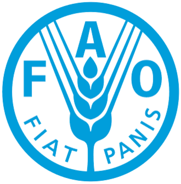 FAO Internship Programme 2026
