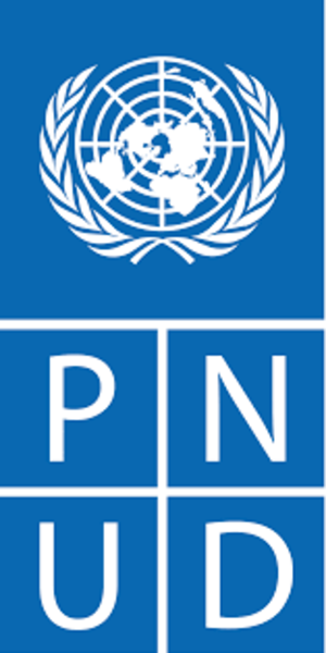 UNDP Recruitment 2026