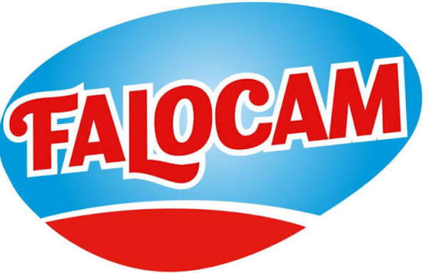 FALOCAM Commercial Job