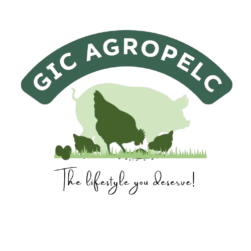 GIC AGROPELC Administrative Assistant