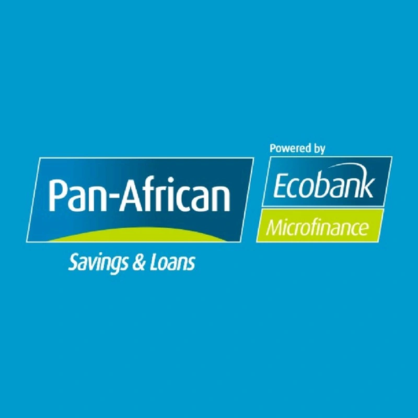 Panafrican Savings and Loans internships