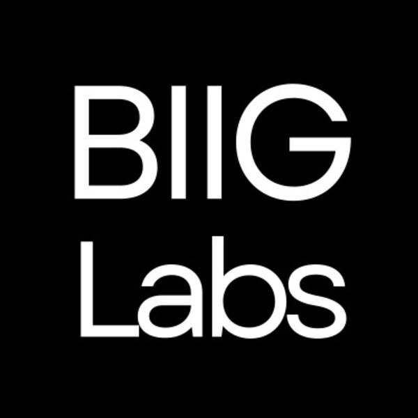 Biig Labs Project Management Intern
