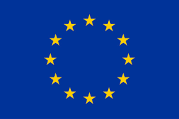 EU Delegation Cameroon Recruitment