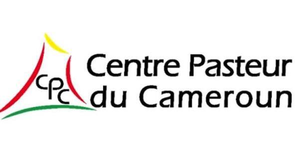 Cadre Comptable Expérimenté