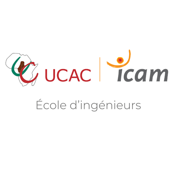 Institut Ucac-Icam Recruitment