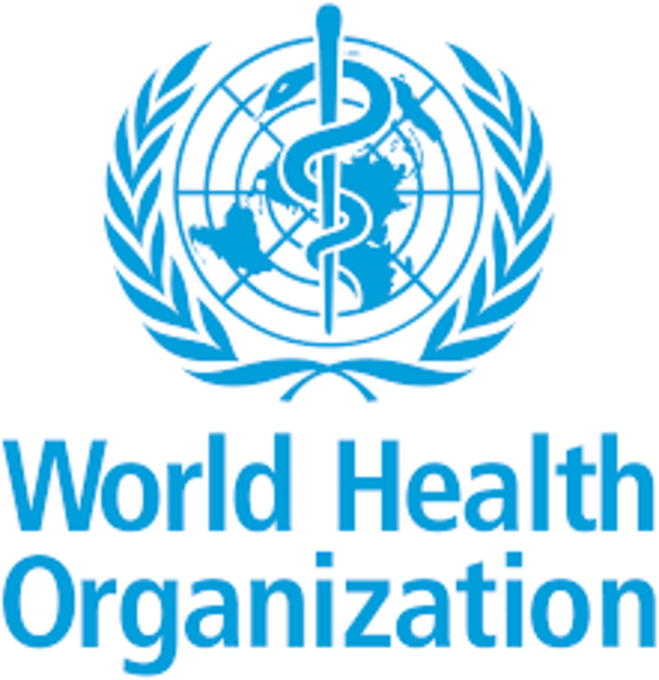 WHO Internship Programme 2026