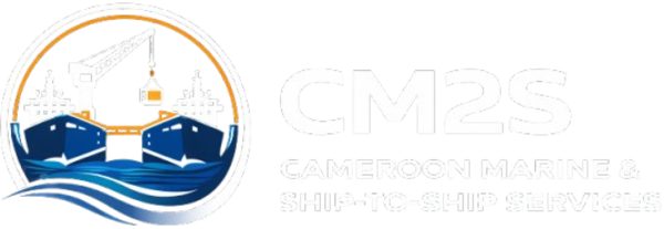 Deputy General Manager CM2S